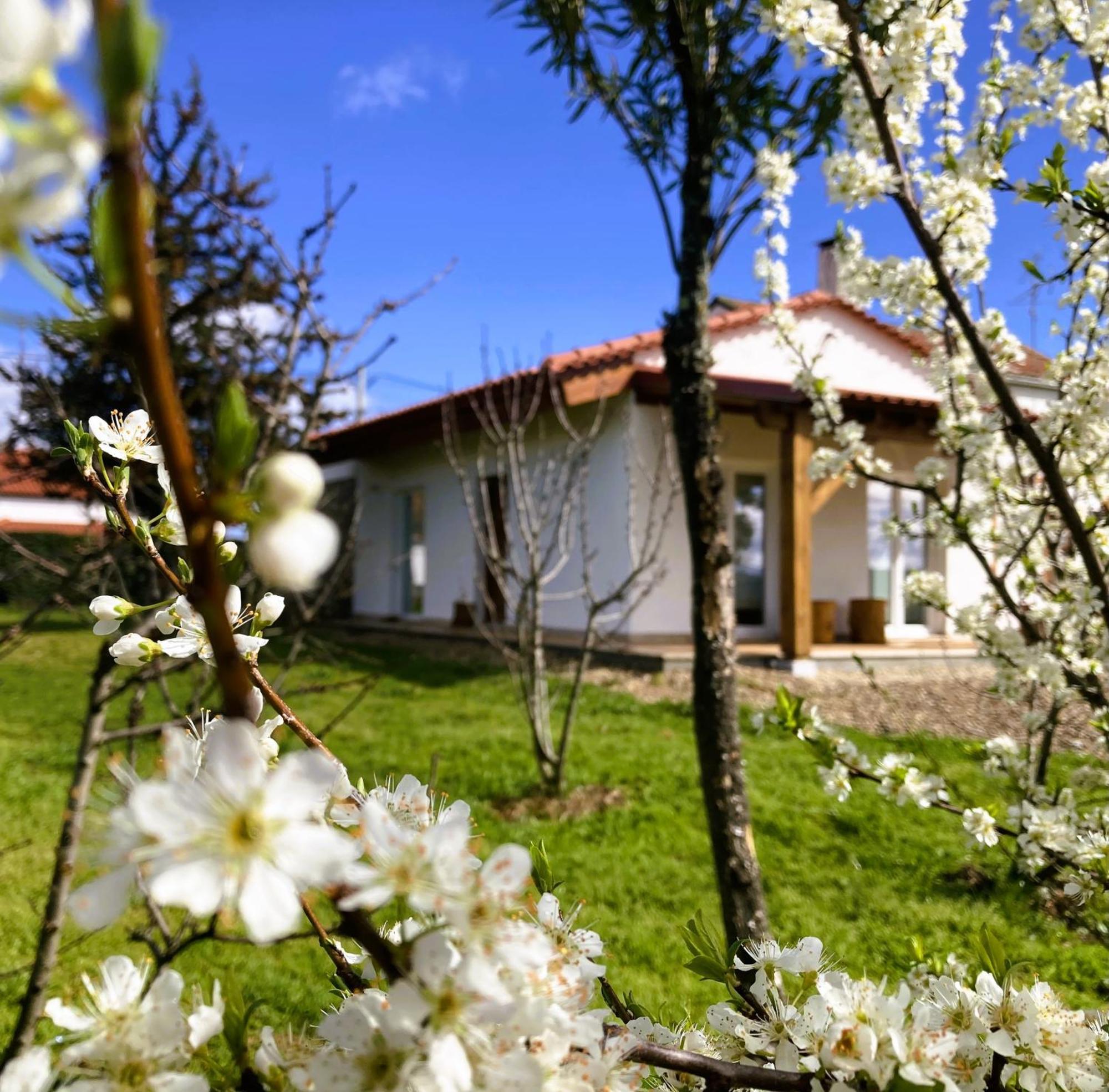 Ar Da Beira - Serra Da Estrela Belmonte  Exteriér fotografie