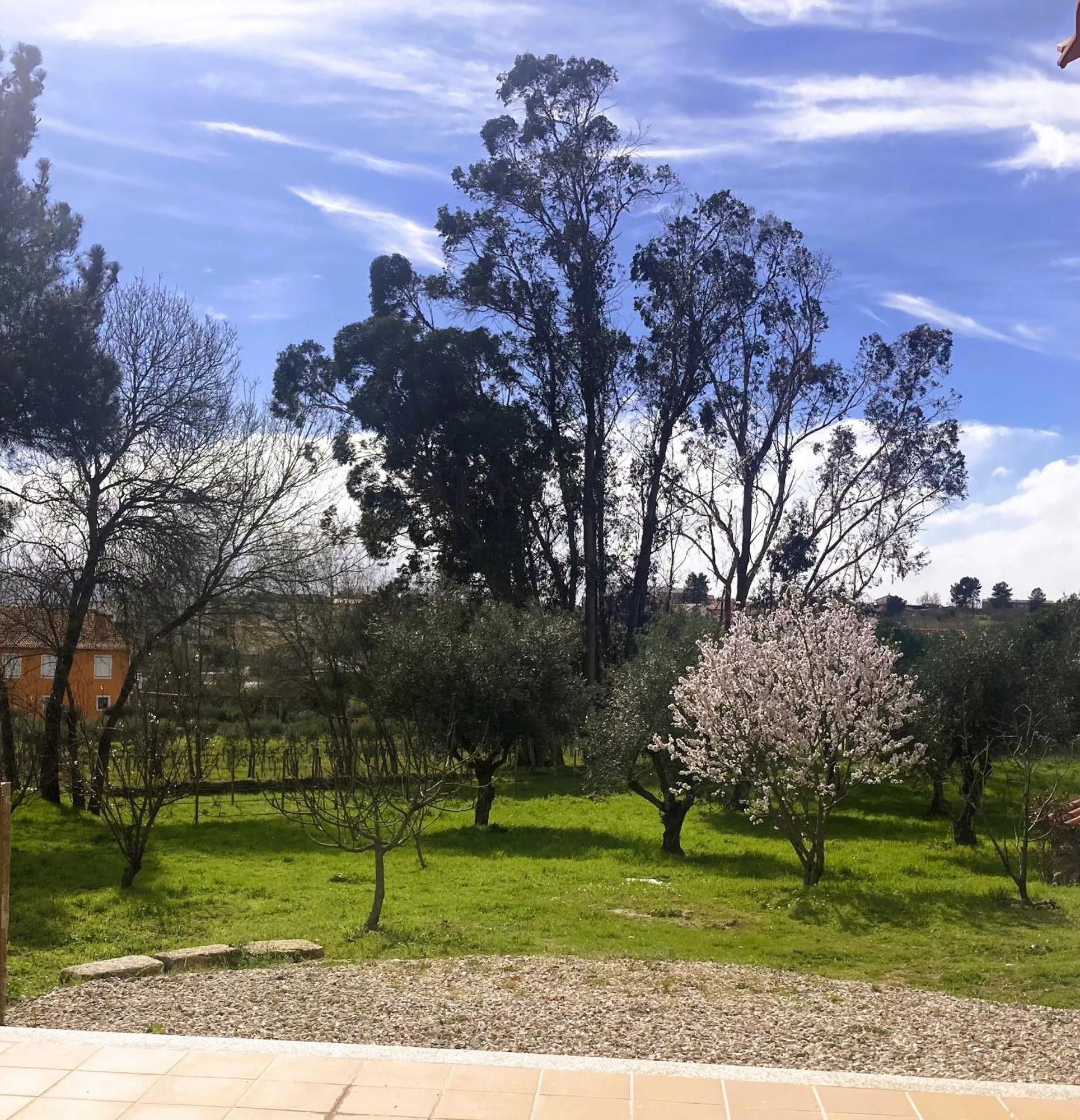 Ar Da Beira - Serra Da Estrela Belmonte  Exteriér fotografie